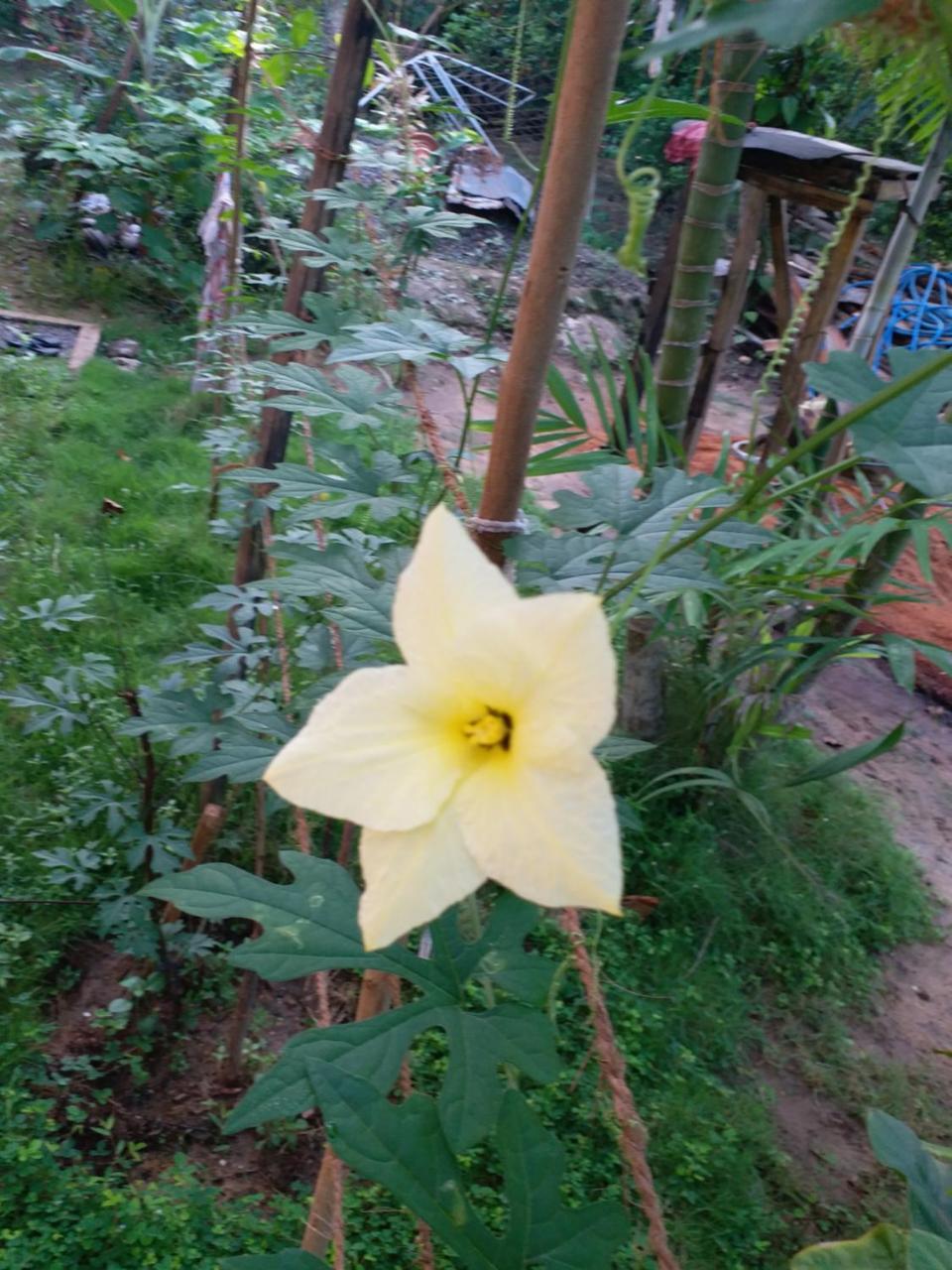 Casa Vacansa Home Stay Hungama 외부 사진